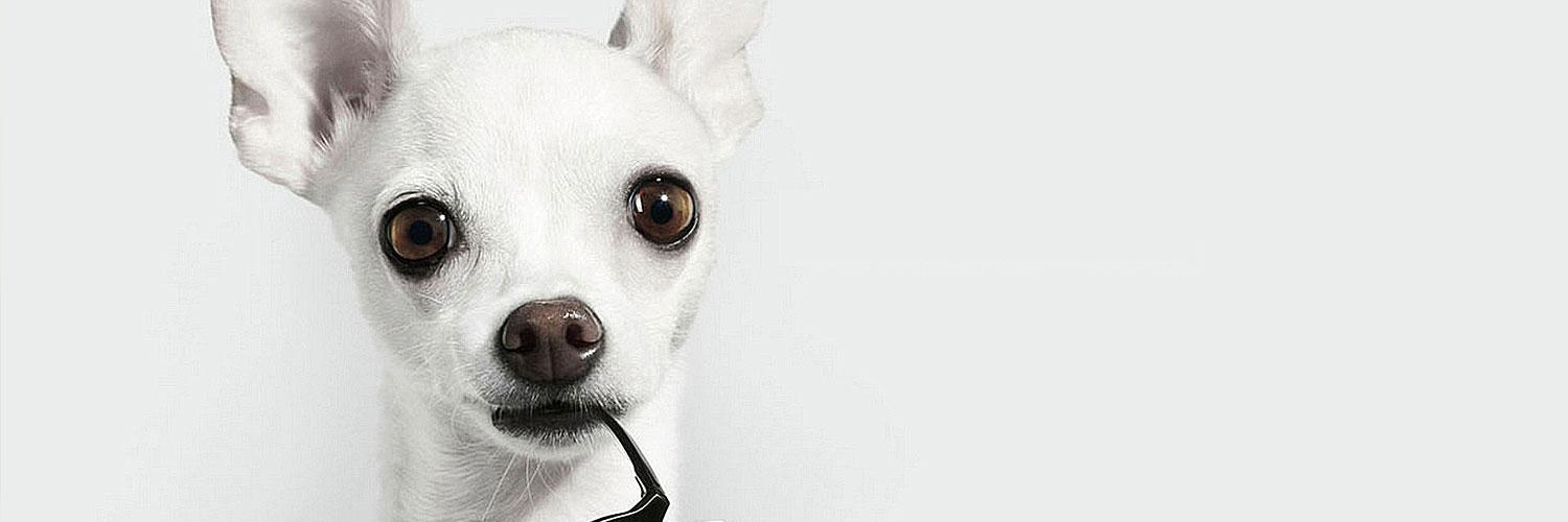 dellsway's profile banner image