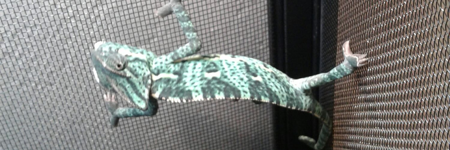 Khandall's profile banner image