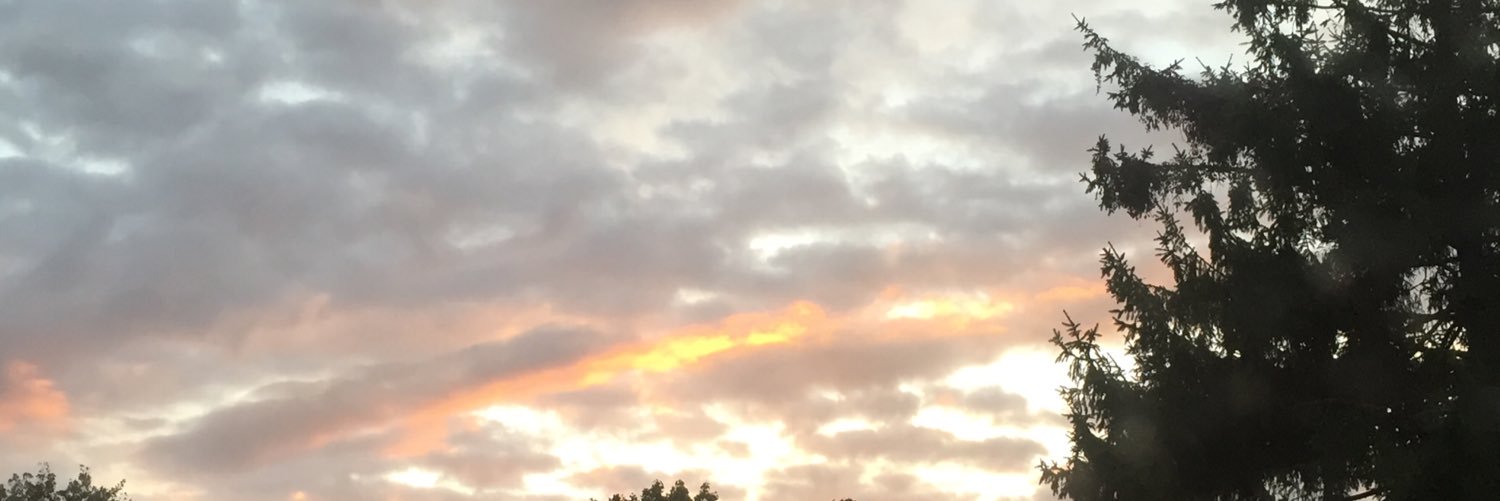 nanckj's profile banner image