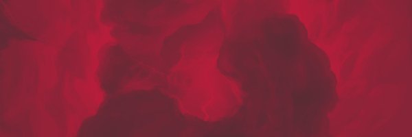 theLeadpanda Profile Banner