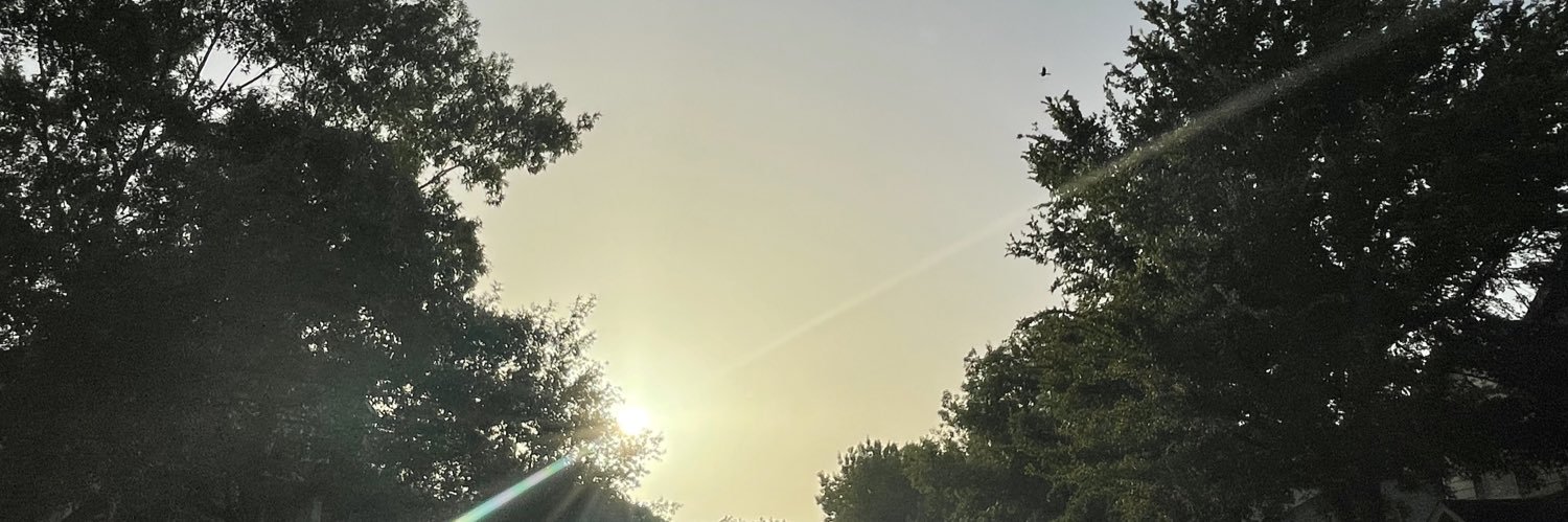 fatamoeba's profile banner image