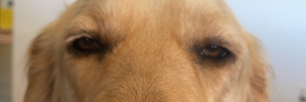 zacwelsh6's profile banner image