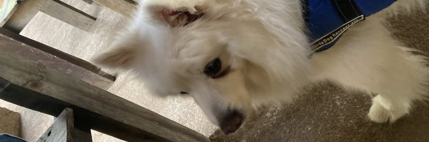 weirdoenfuga's profile banner image
