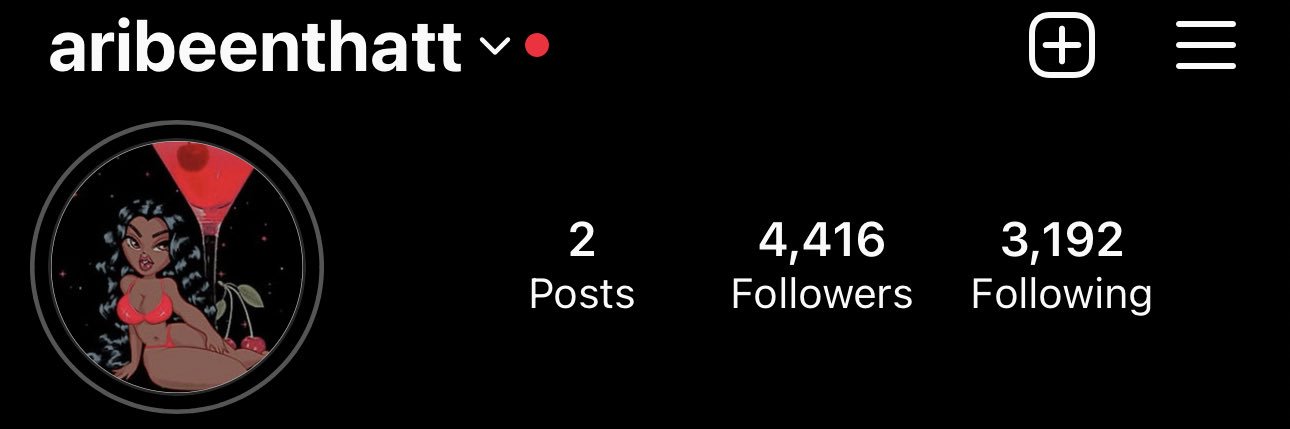 Air Princess 🤍 banner