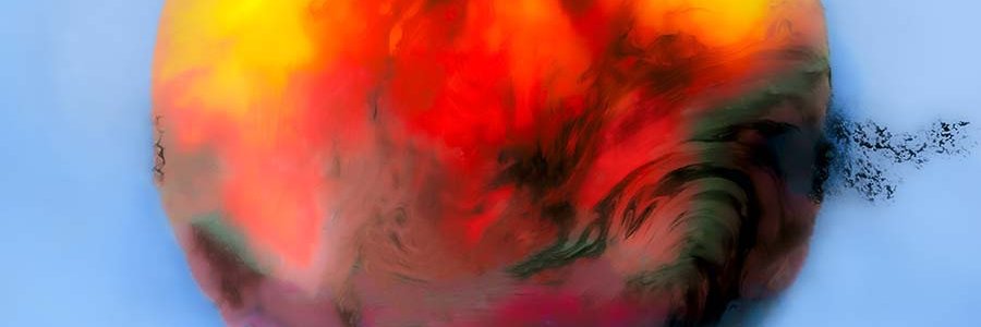 Netrine banner