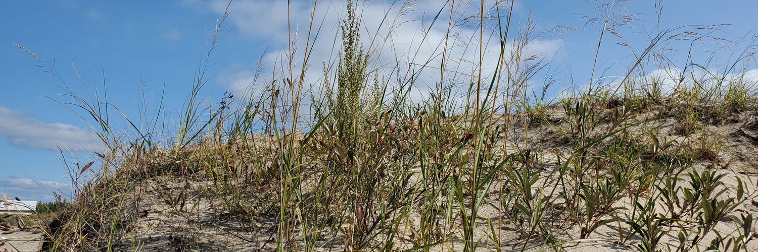 Jen St. Germain banner