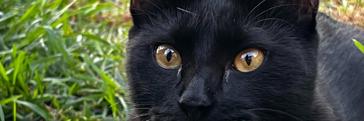InfiniteCann's profile banner image