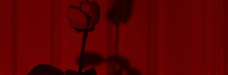 cluttered_minds's profile banner image