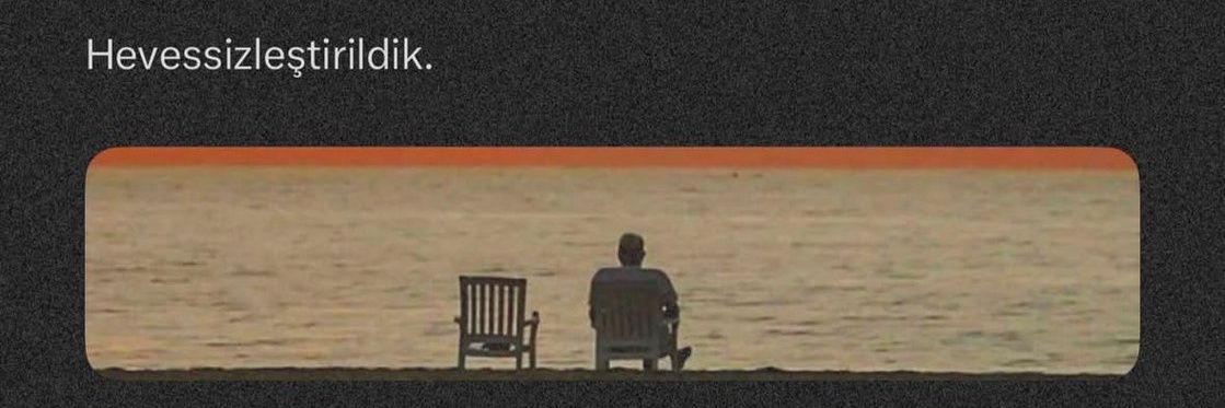 ŞeriiŞeriiLadyy banner