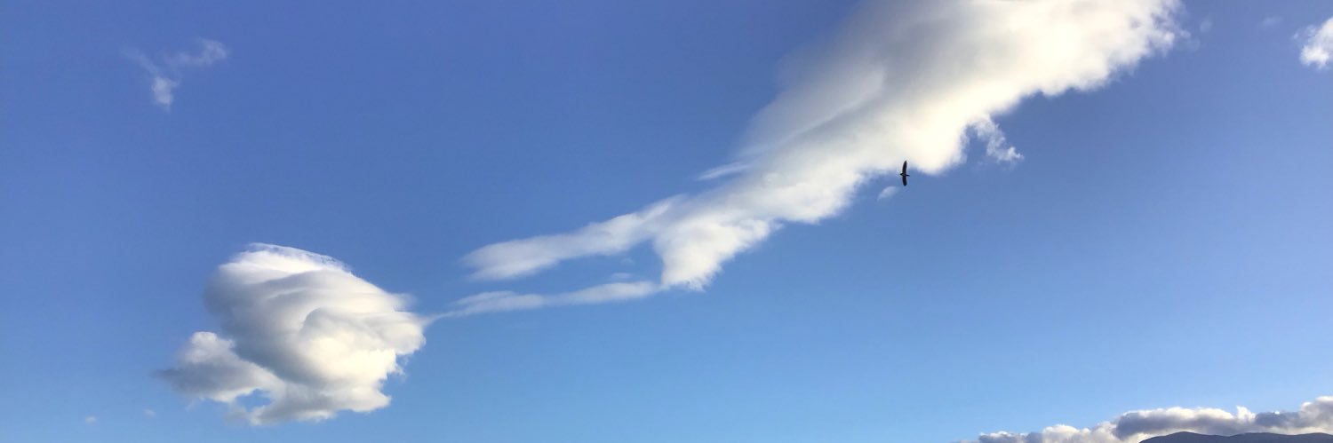 El Jack 🌊🌻☮️ banner