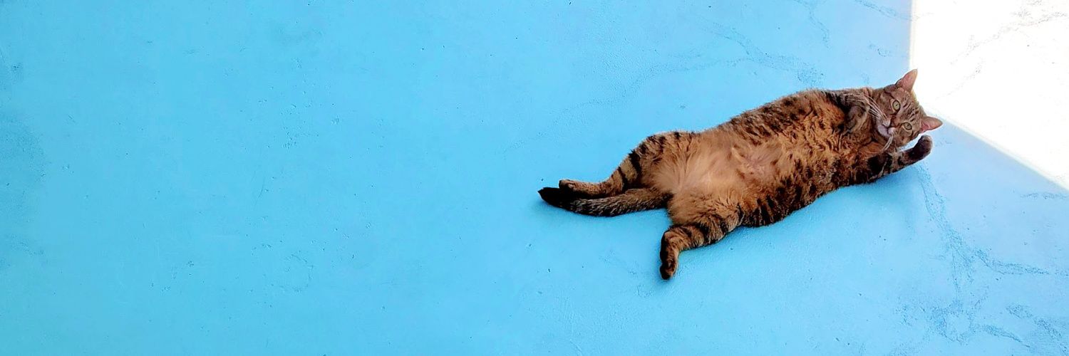 Maggie Mae Fish 🌈's banner