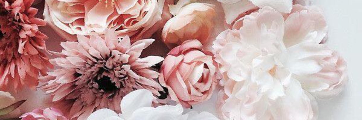 Jesspat2013's profile banner image