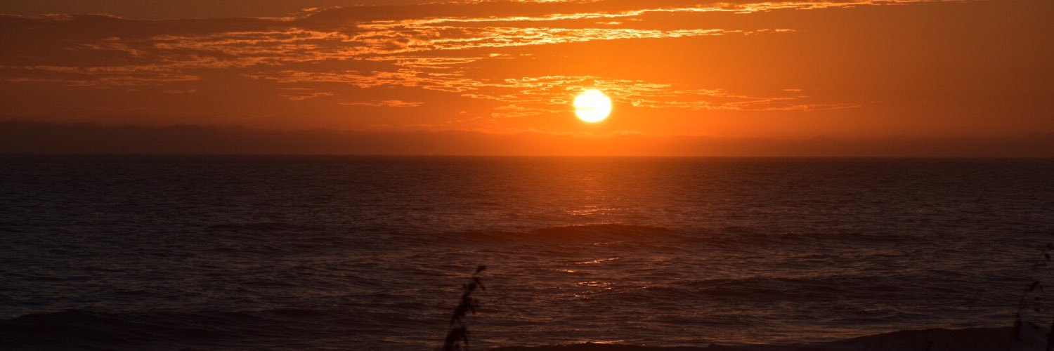 pandi_s's profile banner image