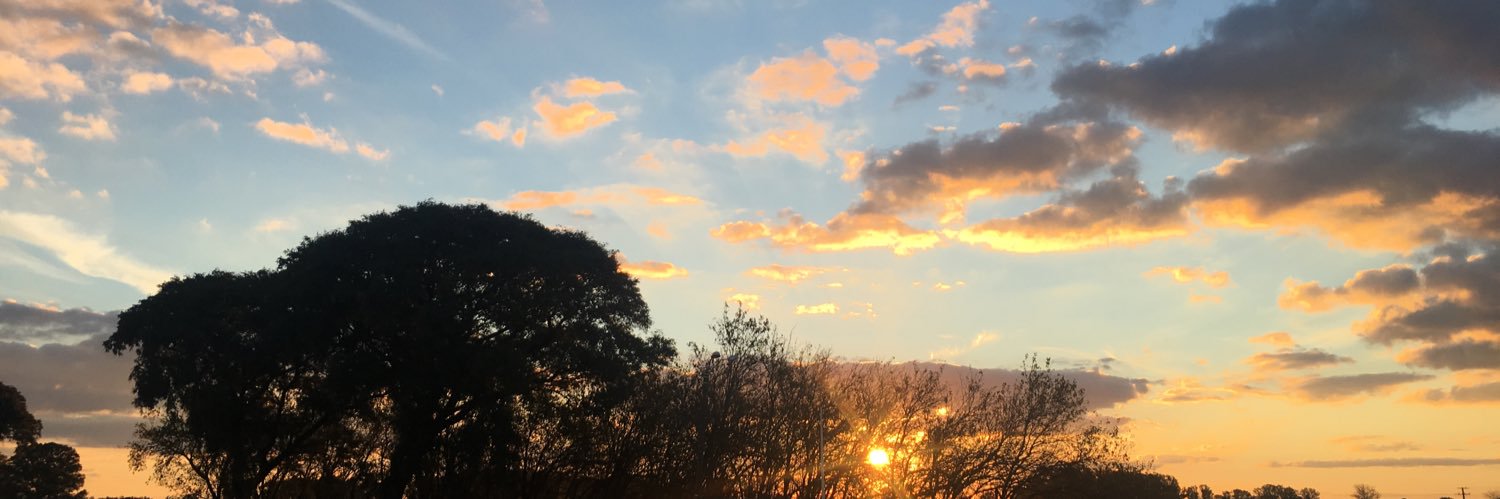 josegarese's profile banner image