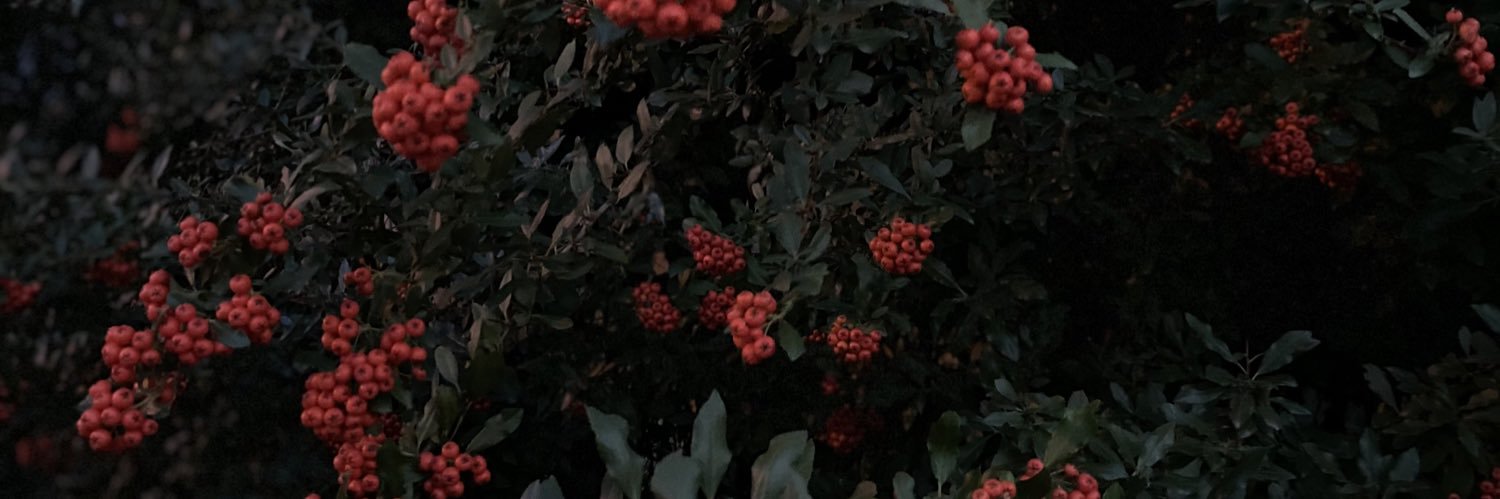 keepsmenervous's profile banner image