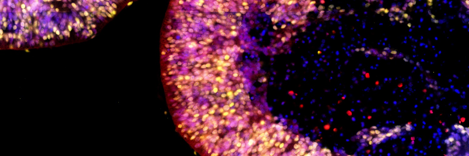 Robin H. van der Weide banner