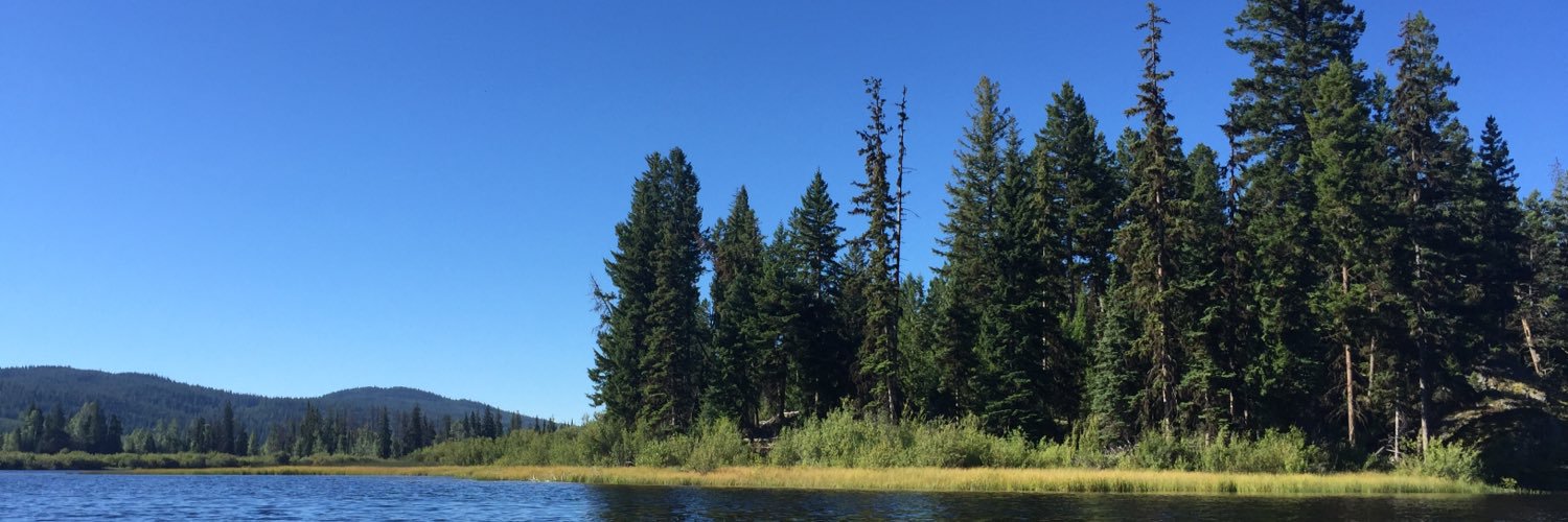 HaleyShea6's profile banner image