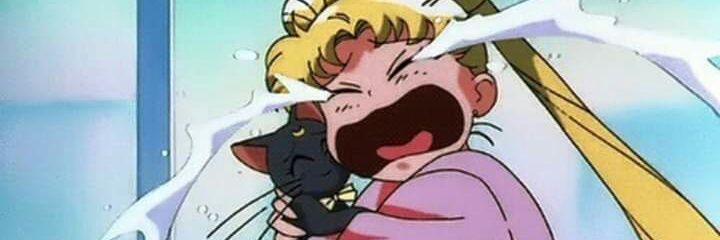 Sofia Lamadrid 🩷 banner