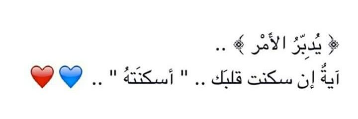 Shaddad313's profile banner image