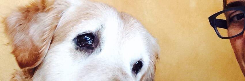 SemGio's profile banner image