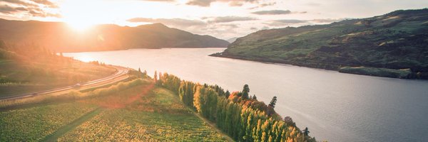 gorgewine Profile Banner