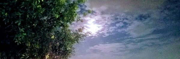 dvanall Profile Banner