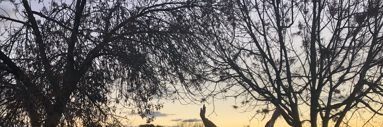 kendallmellow9's profile banner image