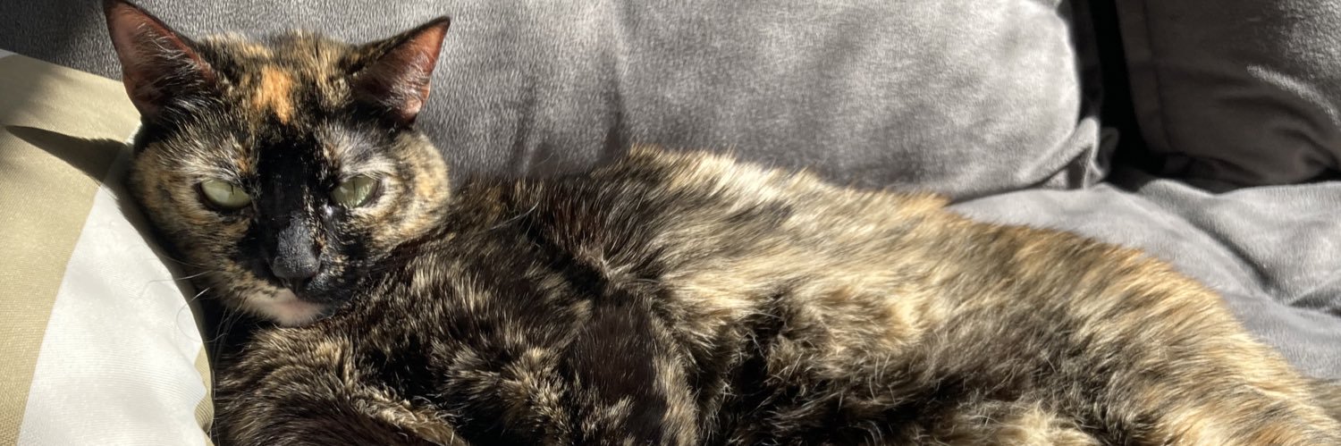 falsowolf's profile banner image