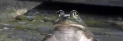 ethan_ackley88's profile banner image