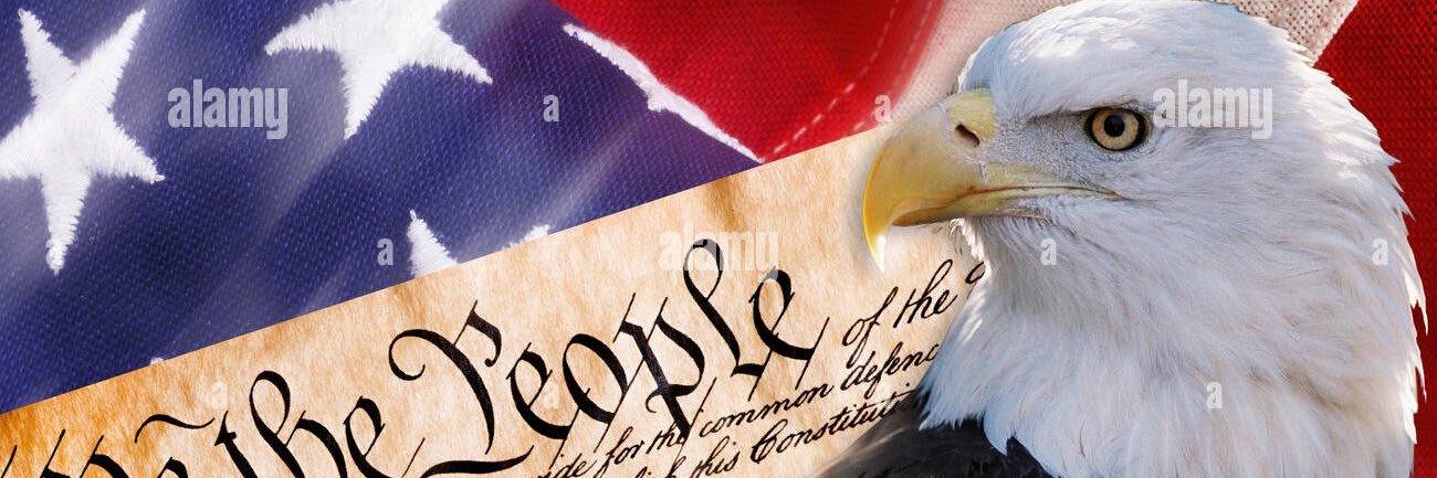 Mr. Truth Seeker 🇺🇸 banner