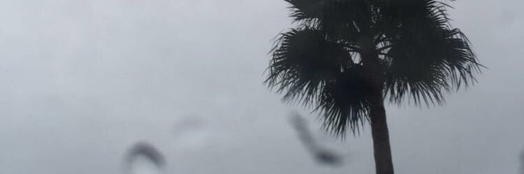 RawDennis's profile banner image