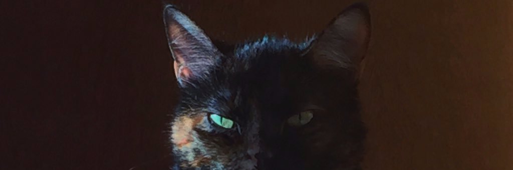 NilesTheRiver's profile banner image