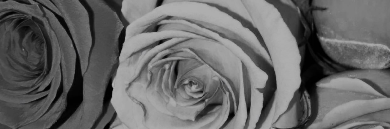 _ravesss's profile banner image