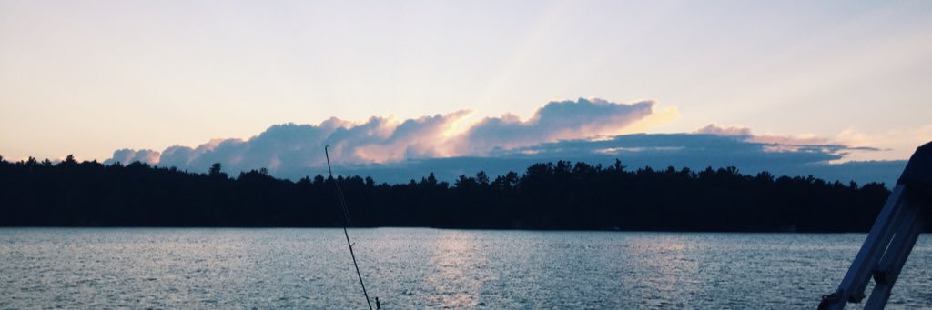 catepickering's profile banner image