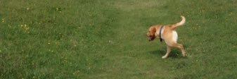 trashsquirrel's profile banner image