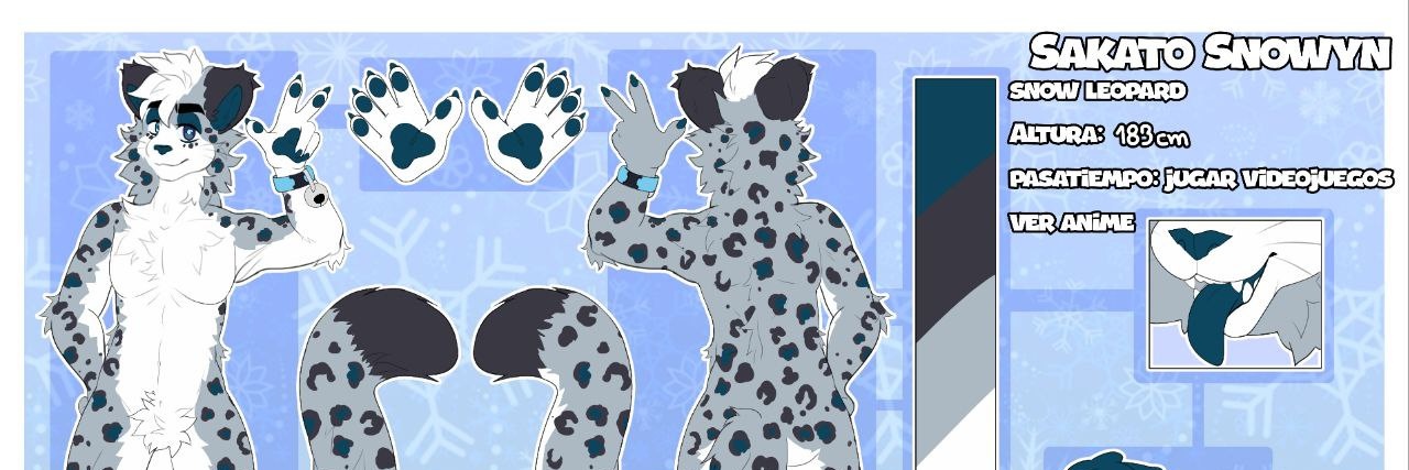 SakatoSnowyn's profile banner image