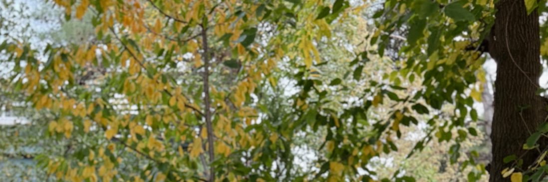sunabyzaa's profile banner image
