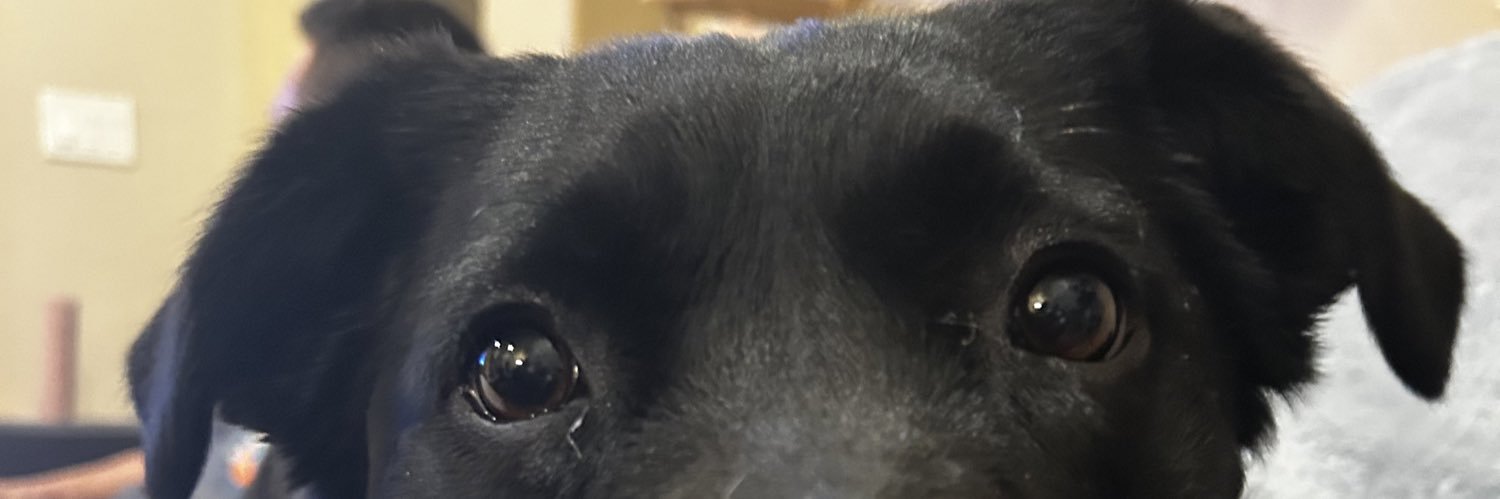 famouslyamy's profile banner image