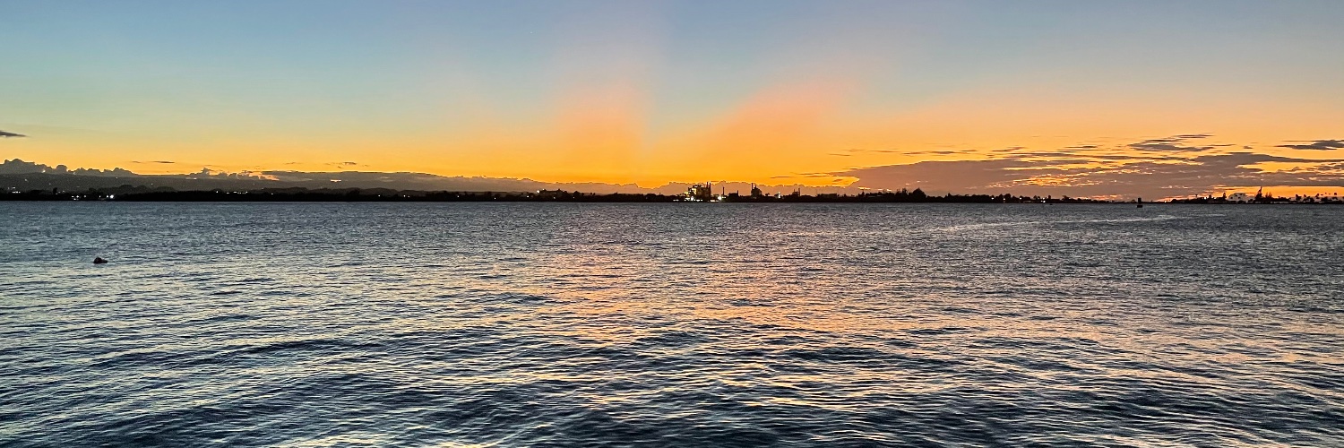 anfeLni_'s profile banner image