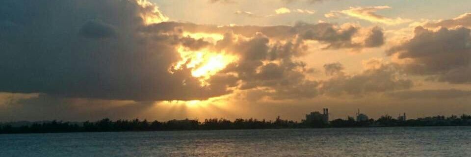 Cece_chien's profile banner image