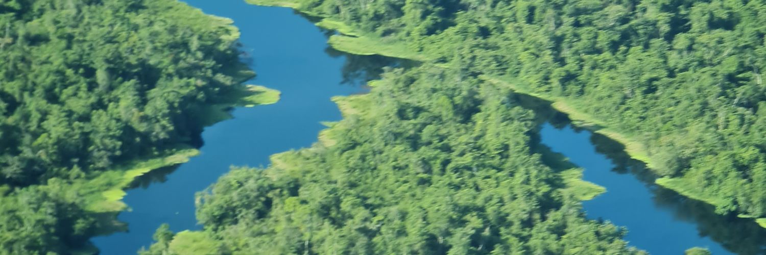 hflores_vfranco's profile banner image