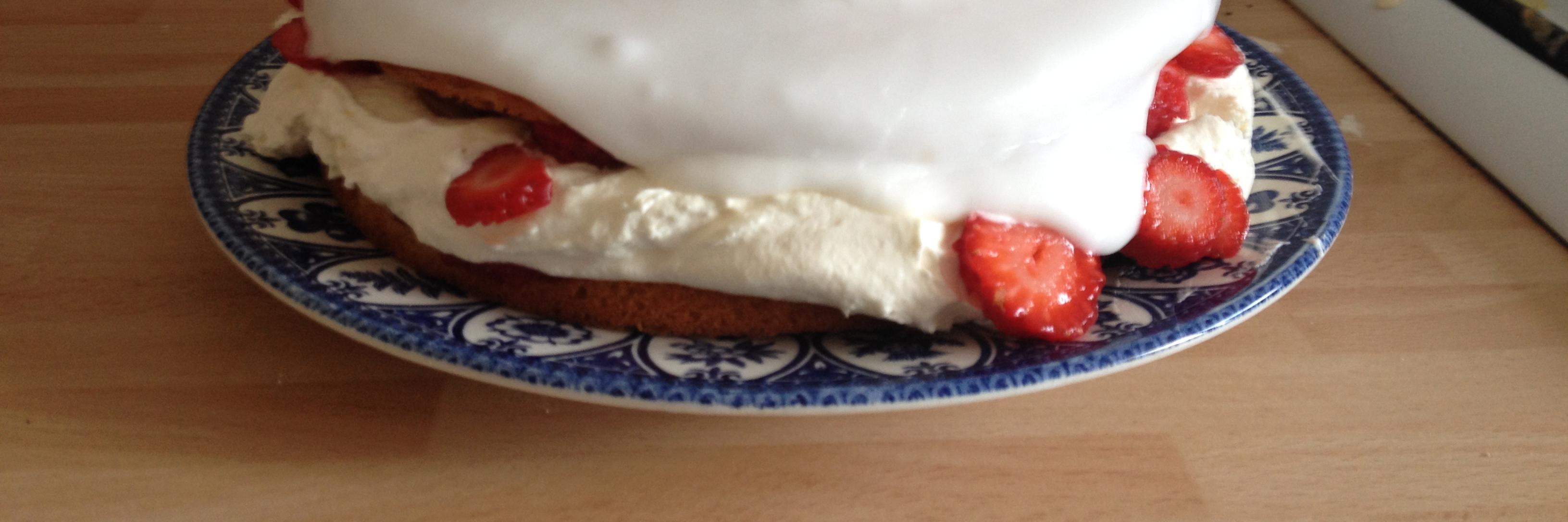 Rebecca O'Connell banner