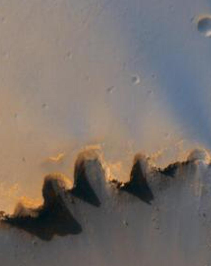 roncousi's profile banner image