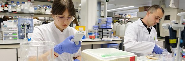 IISPereVirgili Profile Banner