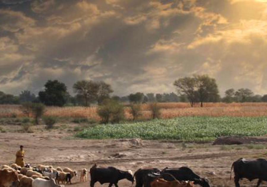 spepop's profile banner image
