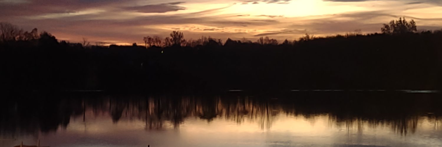 carole427's profile banner image