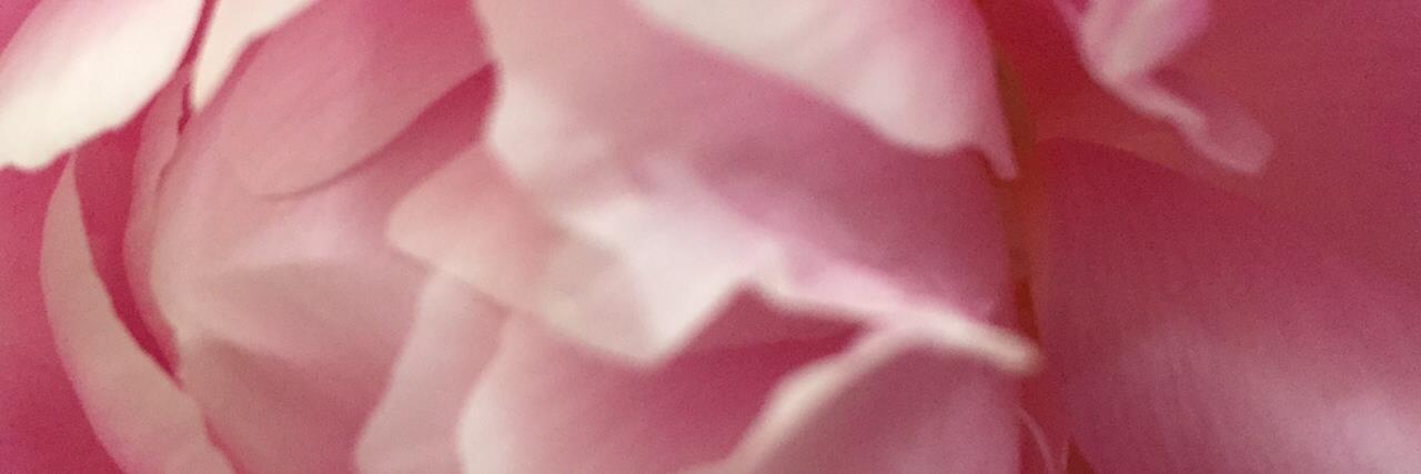 TKotomaki's profile banner image