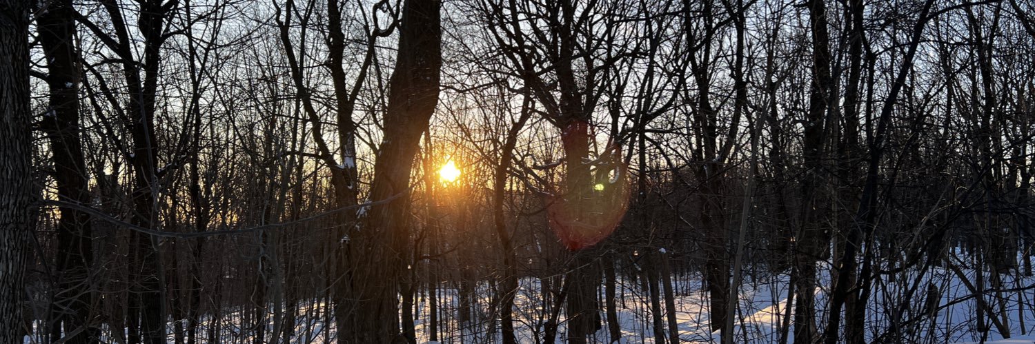 OlinRolseth's profile banner image