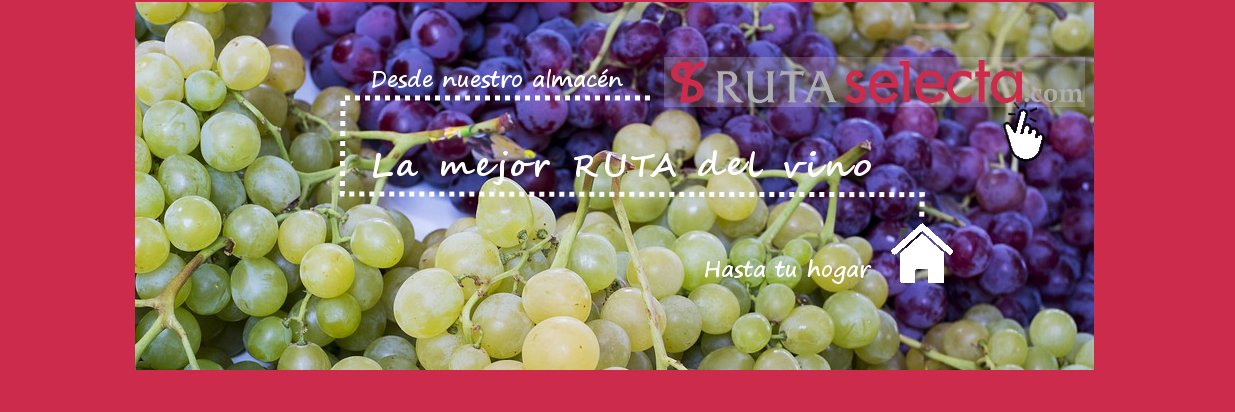 rutaselecta's profile banner image