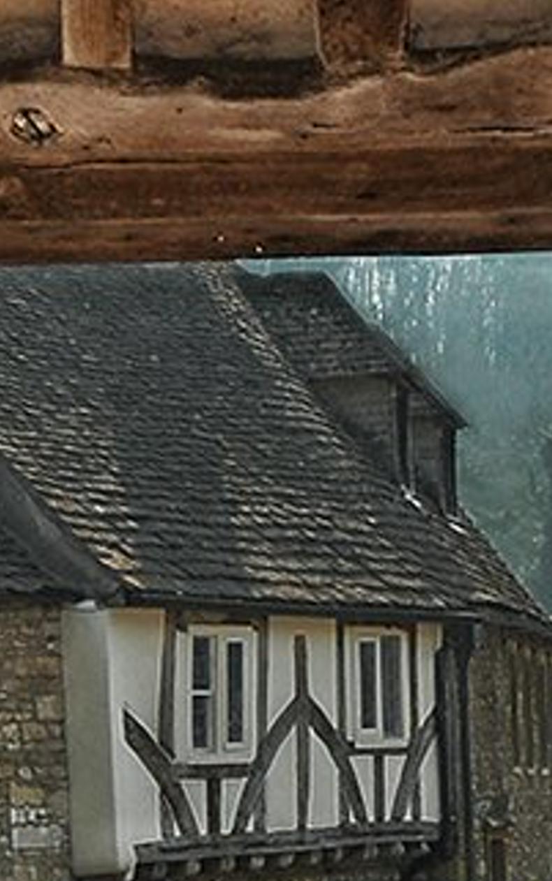 pondendemi's profile banner image